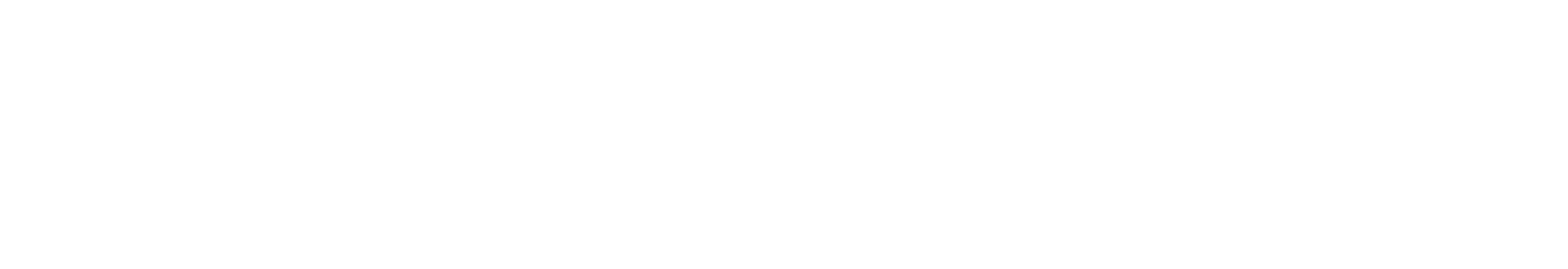 logo maxservice footer